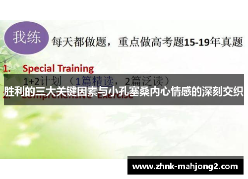 胜利的三大关键因素与小孔塞桑内心情感的深刻交织